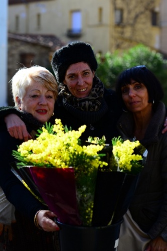 Marche de Collioure : Les trois Graces ! Dimanche 18.01.2015 Photo numero DSC_3240 Marche de Collioure : Les trois Graces ! Dimanche 18.01.2015 Photo numero DSC_3240