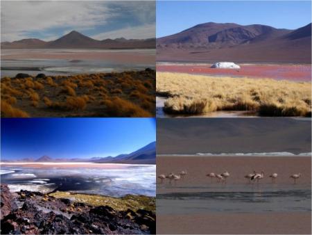 Trekking au CHILI, sud Lipez