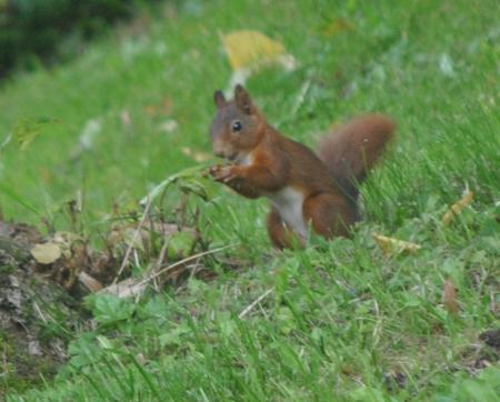 en pleine dégustation...