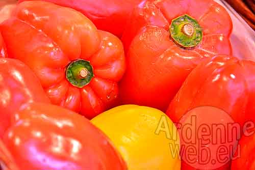 Jean-Luc RECLOUX - 1497