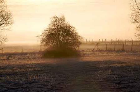 Eric BETTENS Eric BETTENS