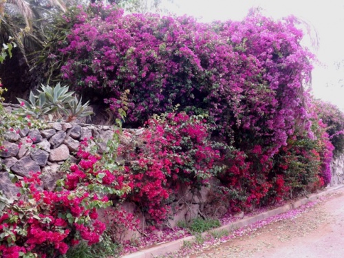 Puerto Colero ( Lanzarote )