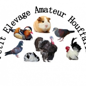 notre logo notre logo