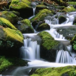 (c) City of Gatlinburg Dept. of Tourism