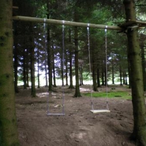 Jeu dans le bois