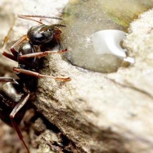 Elle a fini par y arriver