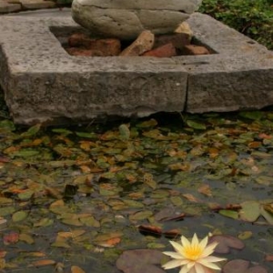 Wellness - Zen, soyons zen !