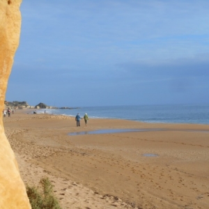 L'Algarve des trois printemps L'Algarve des trois printemps