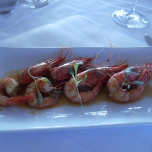 faro - hotel faro faro - hotel faro