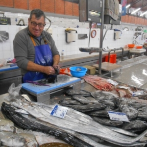 olha - le marche olha - le marche