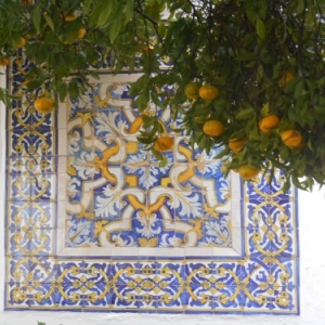 faro - cathedrale faro - cathedrale