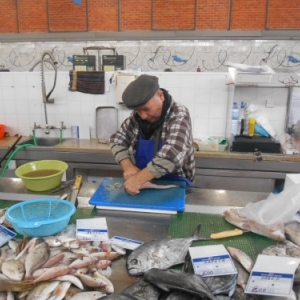 olha - le marche olha - le marche