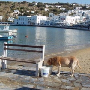 mykonos
