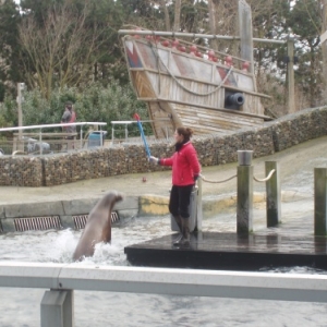 sealife