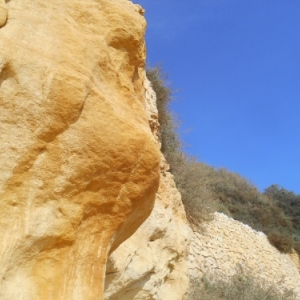 L'Algarve des trois printemps L'Algarve des trois printemps