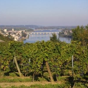 Saumur et les vignobles de Saumur-Champigny 