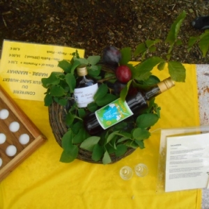 14ème Fête Chlorophylle