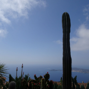 Jardin exotique Eze