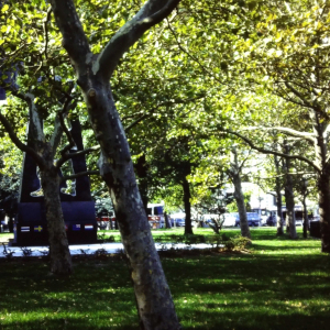 Central Park