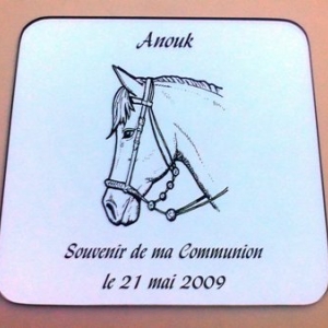 Communion tête de cheval Communion tête de cheval