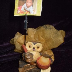 photo clip hibou 3.95 haut 6 cm larg 5 cl