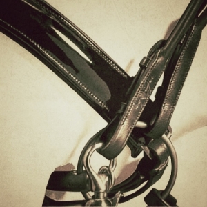 Veto,Medico,Service,vitamine,haute,qualite,competition,dressage,complet