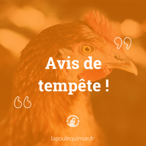 Contrepeterie.