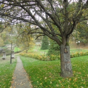 Le golf, arr. plan; a g.: promenade long de l'Ourthe