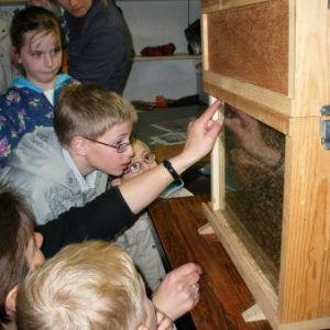 Les enfants, les abeilles, et Janique.