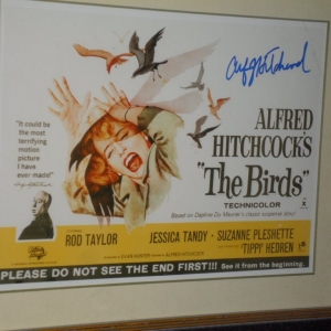 Aficche du film "Les Oiseaux" d'Hitchcock