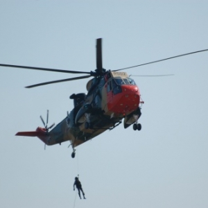Sea King
