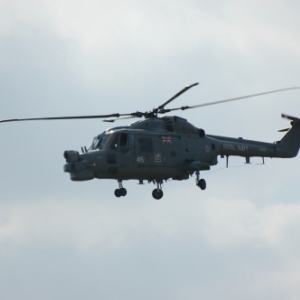 Lynx