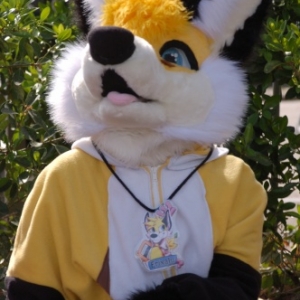 Fukumi Expo 2018