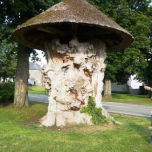 Ferme de la Montgolfière : 5 montgolfières à Gérouville