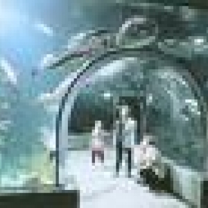 7. Ocearium
