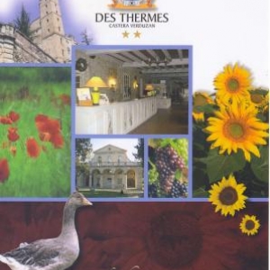 2. Hotel des Thermes