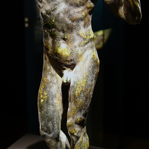 © "Fondation Roi Baudouin" © Photo : Fabien Sebo