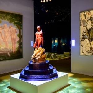 © "Fondation Roi Baudouin"