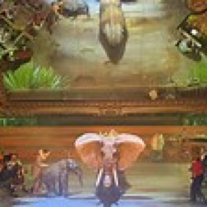 Des comédiens de poids, deux éléphants © « Luc Petit Création »