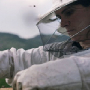 En compétition : "Hive" (Blerta Basholl) © "Level K"