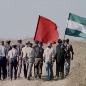 « Qui à part nous » (Jonás Trueba)