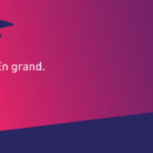 Palmarès du 33ème "FIFF" Palmarès du 33ème "FIFF"