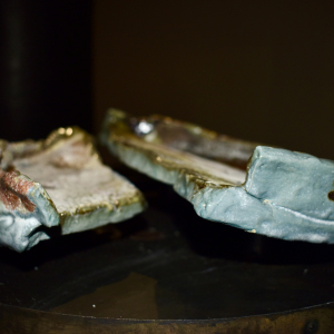 © Maëlle Dufour © Photo : Murielle Lecocq