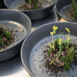 Foie gras & Asperges ⓒ « Epicuriales »