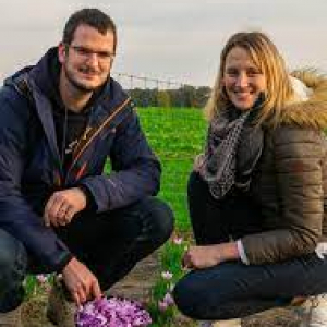 Récolte du safran par Anthony & Pauline © "L'Histoire d'Anthony"