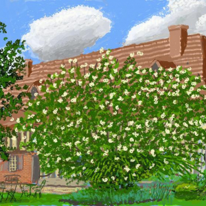 « No 316 » (Tableau sur « iPad »/30 avril 2020) © David Hockney