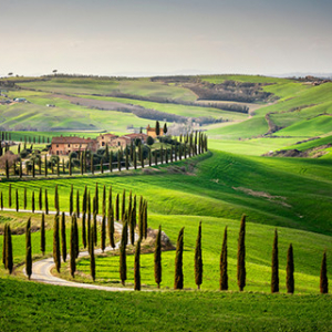 © Photo : Mario Introia