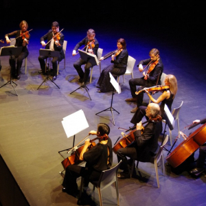 Concert de Nouvel An du "Lumacamerata" © Photo : "Orchestre de Chambre de Namur"