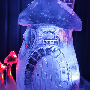 « Ice World » ⓒ Photo : Murielle Lecocq