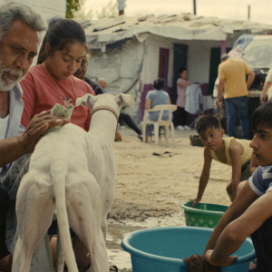 Compétition : « Ciudad sin Sueño » (Guillermo Galoe)